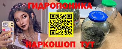 apvp Гагарин