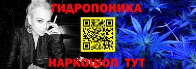 apvp Гагарин