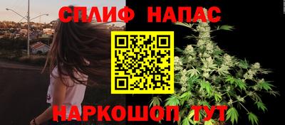 apvp Гагарин