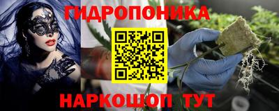 apvp Гагарин
