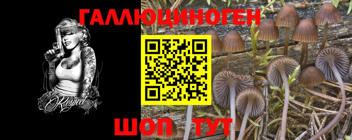 закладка  Галлюциногенные грибы ЛСД  Псилоцибиновые грибы Psilocybe  Вход с VPN  Новоуральск 